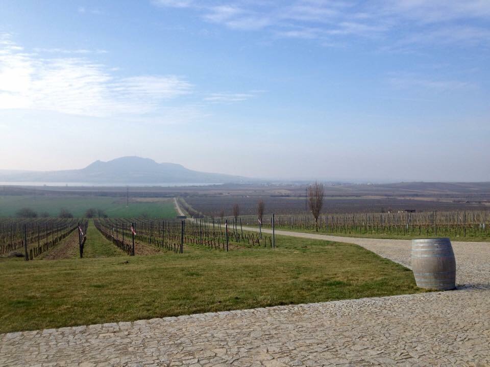 Klony útočí. Nejen v&nbsp;kině